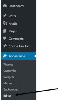 Image of the wordpress menu bar on the home screen with and arrow pointing to editor