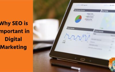 Why SEO is important in Digital Marketing